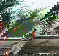 Chambers Rosewood Vineyards