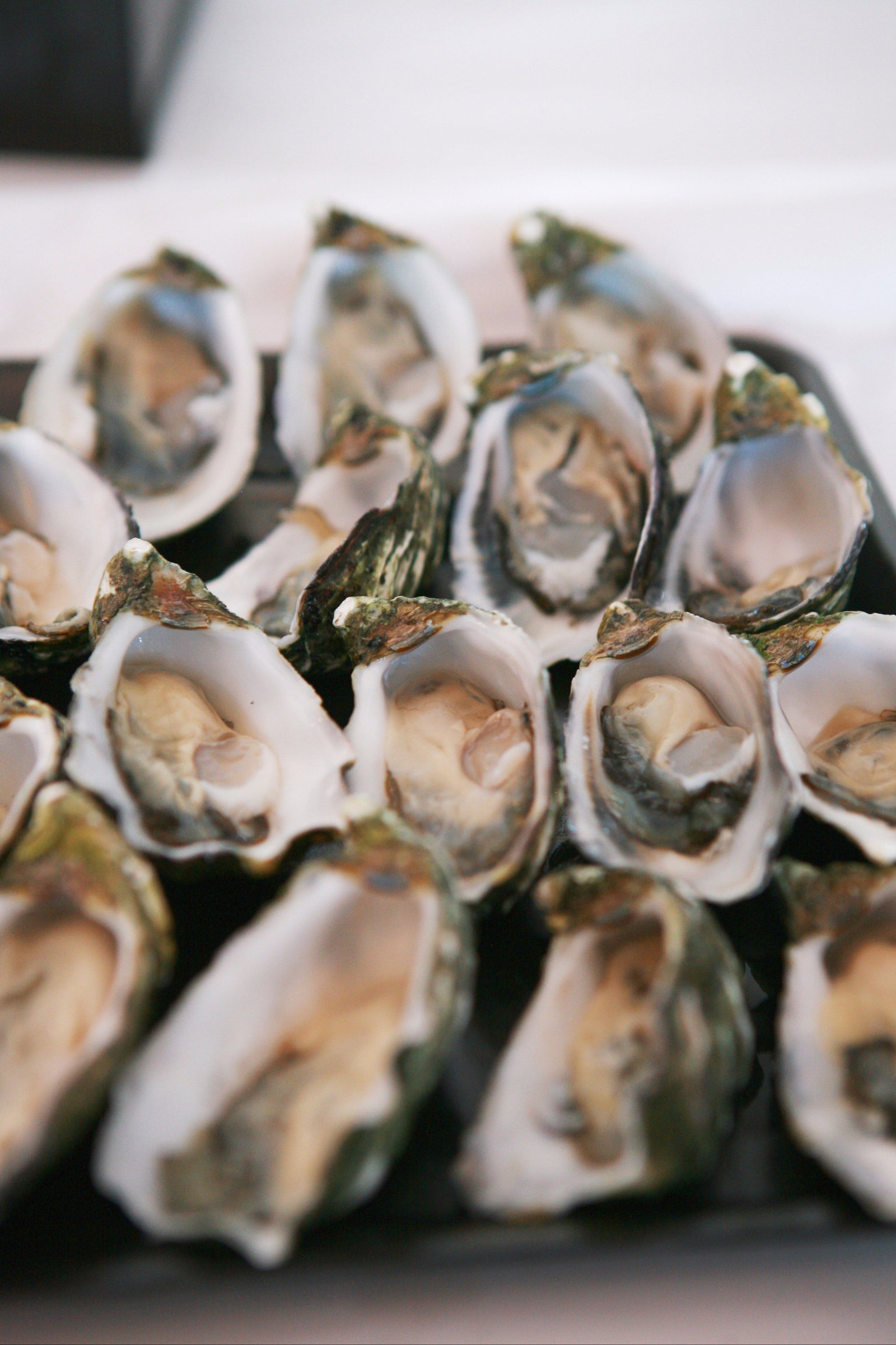 Lower Broughton SA Accommodation Brunswick Heads