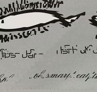 Williamstown Mussels - Accommodation Brunswick Heads