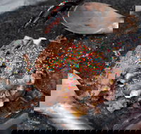 Cold Rock Ice Creamery - Broadbeach - Accommodation Brunswick Heads