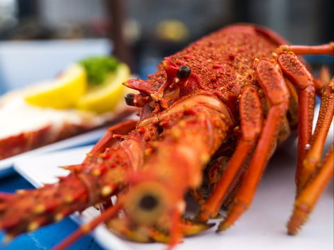 Freycinet Marine Farm - Accommodation Brunswick Heads 0