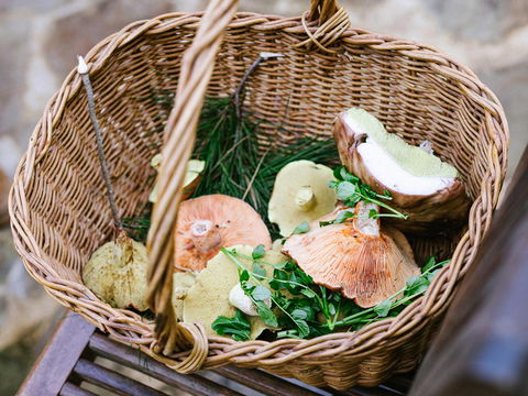 Villetta Porcini - Accommodation Brunswick Heads 2