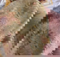 Zaika Tandoor - Accommodation Brunswick Heads