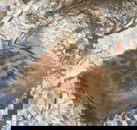 Mad Mex Fresh Mexican Grill - Accommodation Brunswick Heads