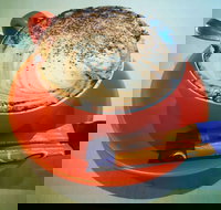 Sunshine Social - Accommodation Brunswick Heads