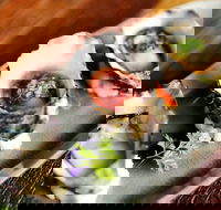 Bin 232 - Accommodation Brunswick Heads