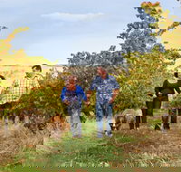 WayWood Wines - Accommodation Brunswick Heads