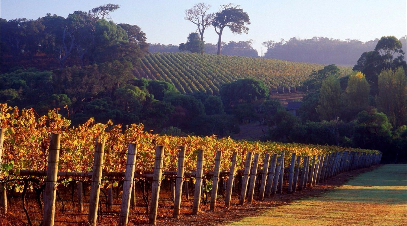 Ambergate WA Accommodation Brunswick Heads