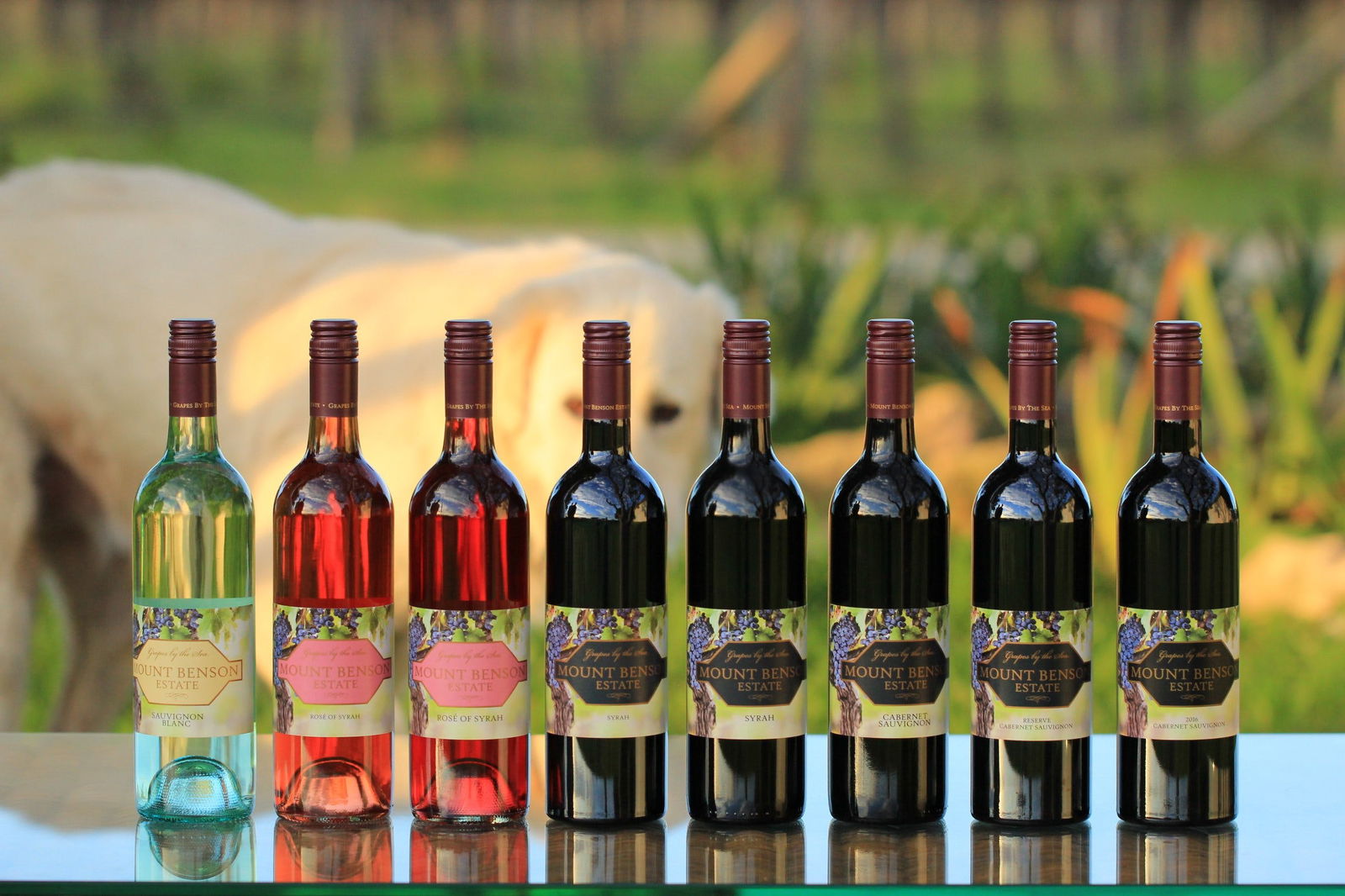 Taratap SA Accommodation Brunswick Heads