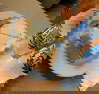 Museum Coffee Shop - Accommodation Brunswick Heads