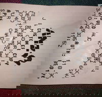 Bubba Pizza - Mount Barker - Accommodation Brunswick Heads