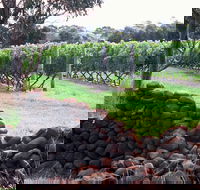 Spring Vale Vineyard - Accommodation Brunswick Heads