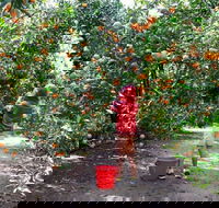 Fords Farm - Accommodation Brunswick Heads