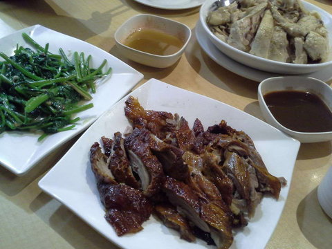 G Tree Cafe - Accommodation Brunswick Heads 0