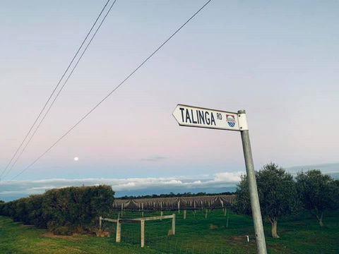 Talinga Grove - Accommodation Brunswick Heads 2