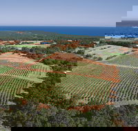 Wise Wine - Accommodation Brunswick Heads