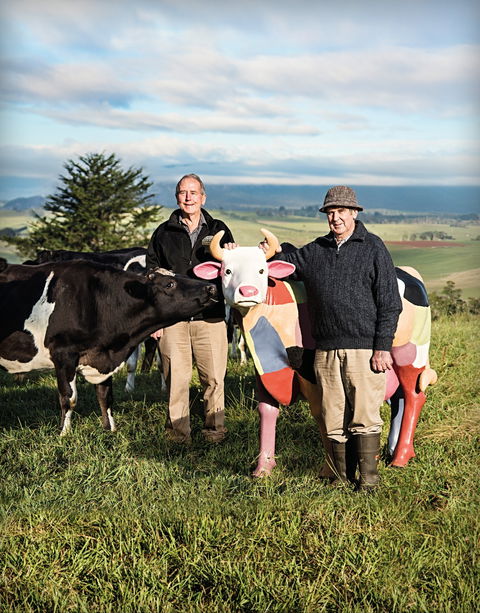 Ashgrove Farm Cheese - Accommodation Brunswick Heads 1