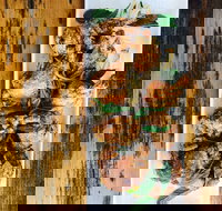 The River Hotel - Accommodation Brunswick Heads