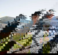 Warrabilla Wines - Accommodation Brunswick Heads