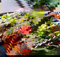 The Berry Farm Cottage Caf - Accommodation Brunswick Heads