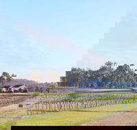 Blacklea Vineyard and Olive Grove - Accommodation Brunswick Heads