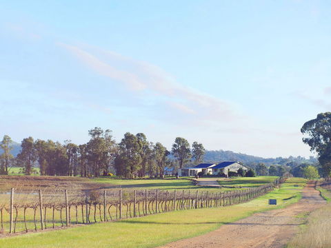 Blacklea Vineyard And Olive Grove - Accommodation Brunswick Heads 0