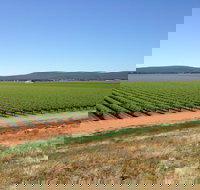 Melange Wines - Accommodation Brunswick Heads