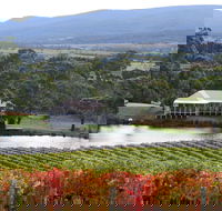 Milton Vineyard - Accommodation Brunswick Heads