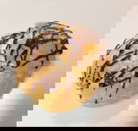 Delish Patisserie - Accommodation Brunswick Heads