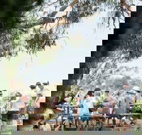 St Leonards Vineyard Caf - Accommodation Brunswick Heads