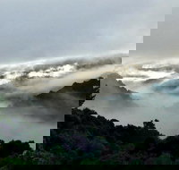 The Mushroom at Waratah - Accommodation Brunswick Heads