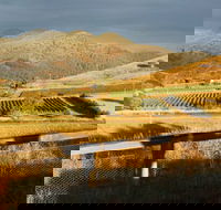 Optimiste Wines - Accommodation Brunswick Heads