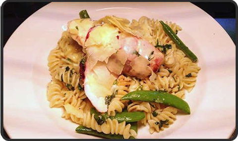 Spotty Cat - Accommodation Brunswick Heads 0