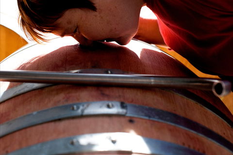 Yarrh Wines - Accommodation Brunswick Heads 2