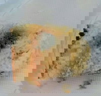 Central Patisseries - Accommodation Brunswick Heads