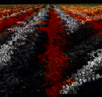 Sandhurst Ridge - Accommodation Brunswick Heads