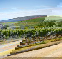 Jansz Tasmania - Accommodation Brunswick Heads