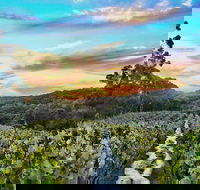 Between the Vines Cellar Door - Accommodation Brunswick Heads