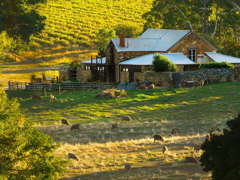 Hutton Vale Farm - Accommodation Brunswick Heads 1
