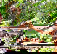 Jaques Coffee Plantation - Accommodation Brunswick Heads