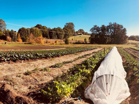 Synchronicity Farm - Accommodation Brunswick Heads 0