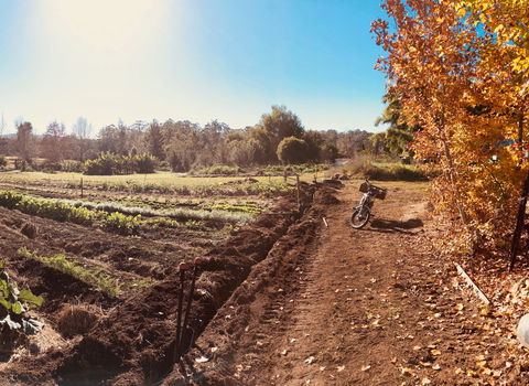 Synchronicity Farm - Accommodation Brunswick Heads 1