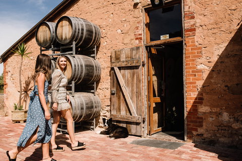Shingleback Wine - Accommodation Brunswick Heads 1