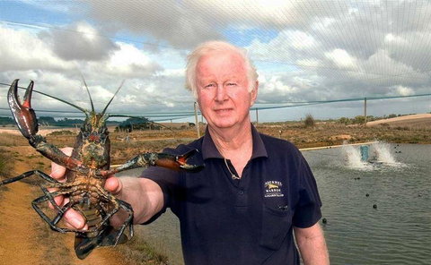 Marron Cafe - Accommodation Brunswick Heads 14