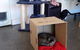 Hobart Cat Cafe - thumb 1