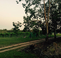 Brierley Wines - Accommodation Brunswick Heads