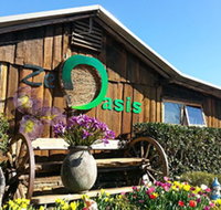 Zen Oasis Vegetarian Restaurant - Accommodation Brunswick Heads