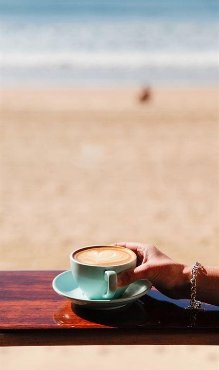 Burnt Orange Mosman - Accommodation Brunswick Heads 4