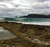 Bruny Island Berry Farm - Accommodation Brunswick Heads