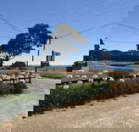 Penguin  Pardalote Coffee House - Accommodation Brunswick Heads
